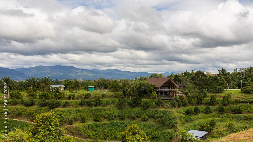 Beautiful nature landscape view with big Durian farm Beautiful nature landscape view with big Durian farm