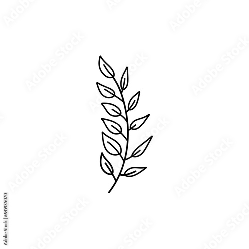 Vector branches and leaves. Hand drawn floral elements.  © P4ramours