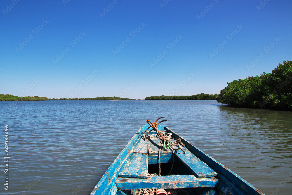 Casamance river, Ziguinchor Region, Senegal, West Africa