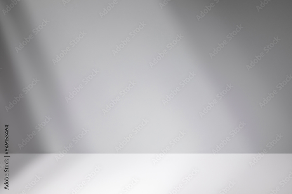 Abstract minimal empty black and white 3d room background. Modern Studio showcase with copy space. Mock up scene with natural window shadows, dappled light overlay effect. Front view, copy space. Abstract minimal empty black and white 3d room background. Modern Studio showcase with copy space. Mock up scene with natural window shadows, dappled light overlay effect. Front view, copy space.