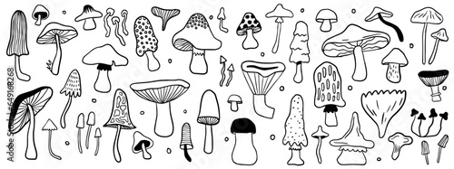 Autumn love: Mushroom doodle set, fungi vector illustration collection.
