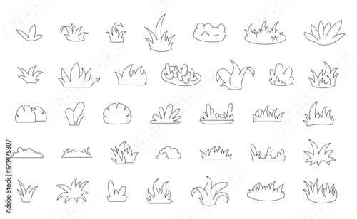 Growing grass and plant. Coloring Page. Cultivated lawn and meadow. Vector drawing. Collection of design elements.