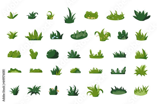Growing grass and plant. Cultivated lawn and meadow. Vector drawing. Collection of design elements.
