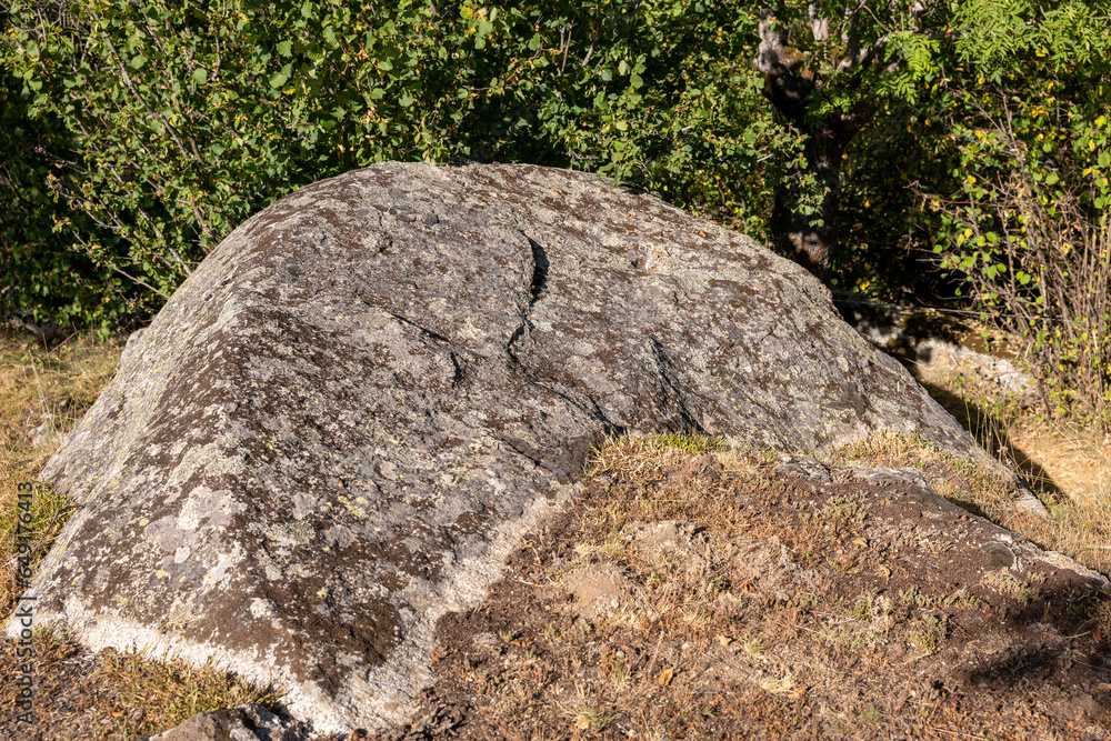 Obraz premium stone in the forest
