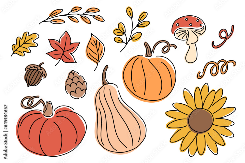 pumpkin and autumn leaves pumpkin and autumn leaves