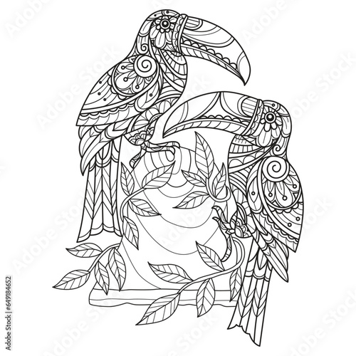 Two hornbills hand drawn for adult coloring book