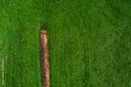 Austria, Upper Austria, Zell am Moos, Drone view of dung heap in green field photo
