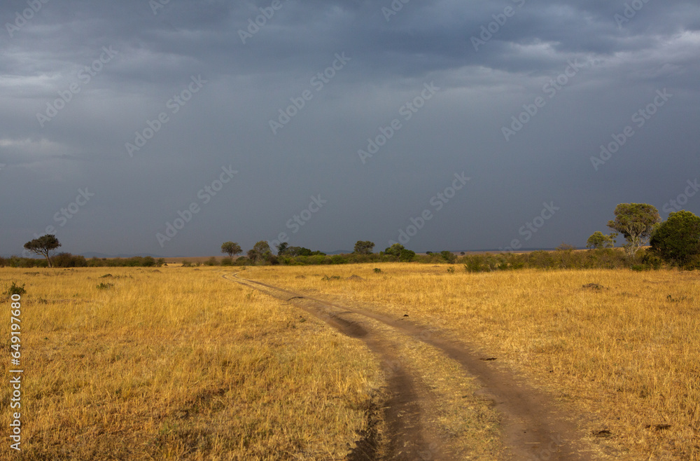 Fototapeta premium Golden meadows in the savanna fields in Kenya, Africa. African Savannah Landscape in Masai Mara National Reserve.