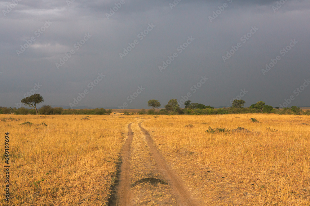 Obraz premium Golden meadows in the savanna fields in Kenya, Africa. African Savannah Landscape in Masai Mara National Reserve.