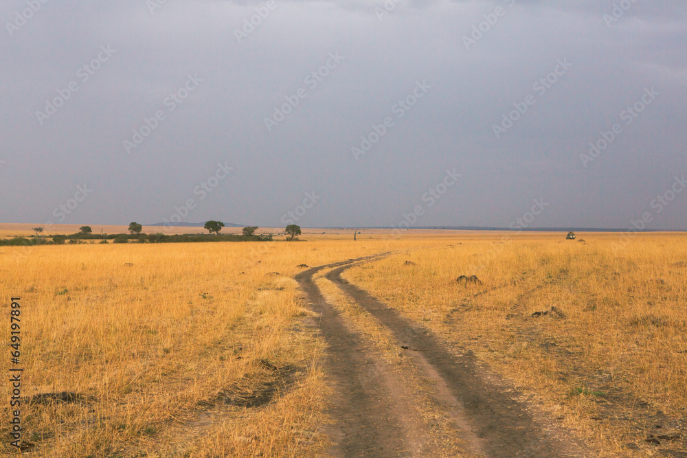 Fototapeta premium Golden meadows in the savanna fields in Kenya, Africa. African Savannah Landscape in Masai Mara National Reserve.