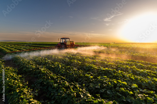 Tractor spraying vegetable field in sunset. photo