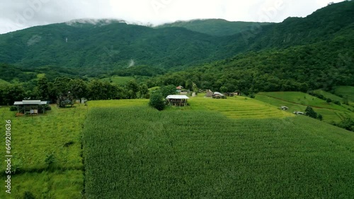 4K Cinematic nature aerial drone footage of the beautiful mountains and rice terraces of Ban Pa Pong Piang at Doi Ithanon next to Chiang Mai, Thailand on a cloudy sunny day photo