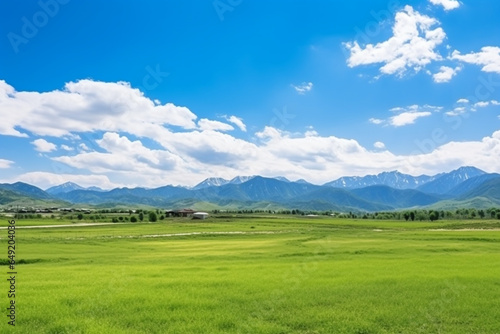 Panoramic natural landscape with green grass field, blue sky and mountains in background