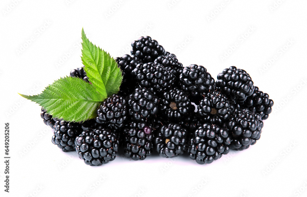 Blackberry isolated on white background. Blackberry isolated on white background.