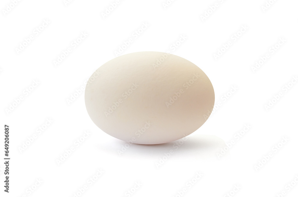 single chicken egg isolated on white background single chicken egg isolated on white background