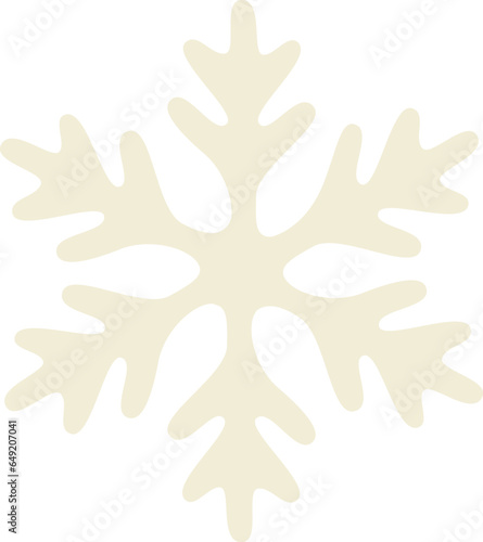 Snowflake Winter Icon