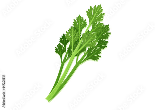 Vector illustration of celery stalk fresh vegetable. Delicious healthy food