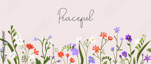 Floral banner background, flower pattern border. Spring nature card, gentle delicate field plants, blooms, wildflowers, meadow herbs. Romantic botanical design. Colored flat vector illustration