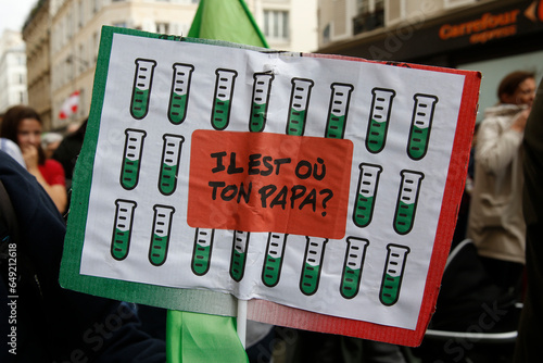 Manifestation contre la PMA sans pÃ¨re et la GPA, Paris. photo