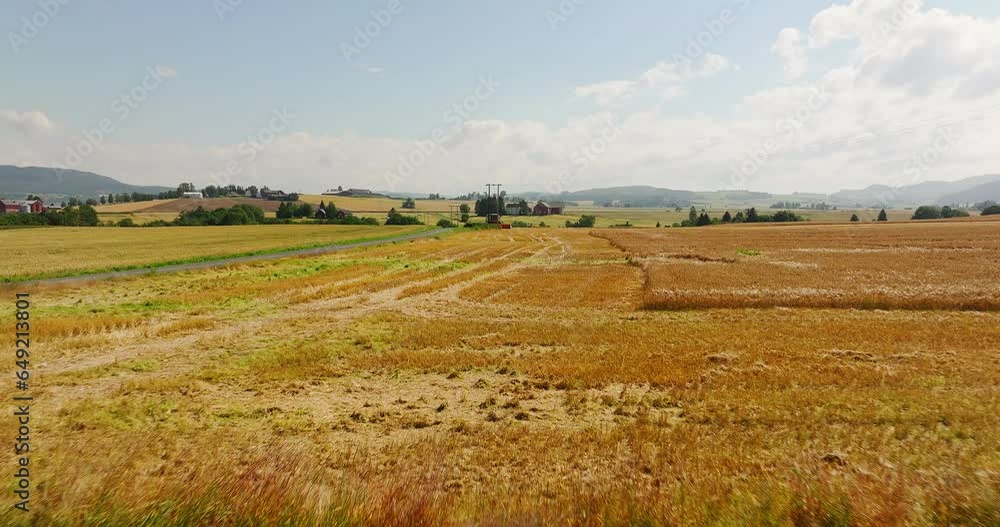 Flying Over Vast Agricultural Land Of Wheat Fields In Norway. Aerial Drone Shot Flying Over Vast Agricultural Land Of Wheat Fields In Norway. Aerial Drone Shot