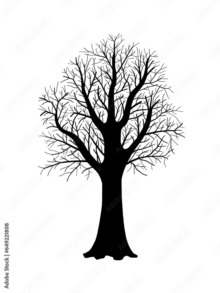 Fototapeta premium Tree silhouette isolated vector