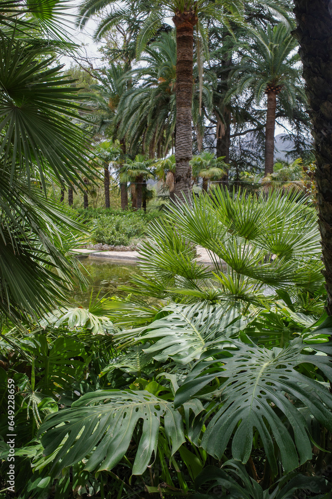 Mallorca, Spain - 23 July, 2023: Tropical plants and flowers in the Jardines de Alfabia botanical gardens, Mallorca Mallorca, Spain - 23 July, 2023: Tropical plants and flowers in the Jardines de Alfabia botanical gardens, Mallorca