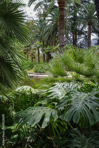 Mallorca, Spain - 23 July, 2023: Tropical plants and flowers in the Jardines de Alfabia botanical gardens, Mallorca