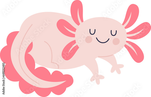 Axolotl Funny Amphibian