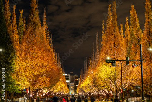 明治神宮外苑・イチョウ並木のライトアップ（2022年11月）	