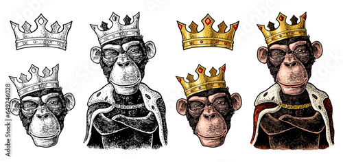 Monkey king with paws crossed dressed in the mantle and crow. Vintage color and black engraving
