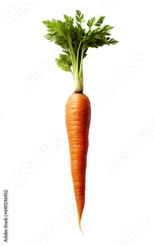 isolated illustration of carrot. Created with Generative AI 