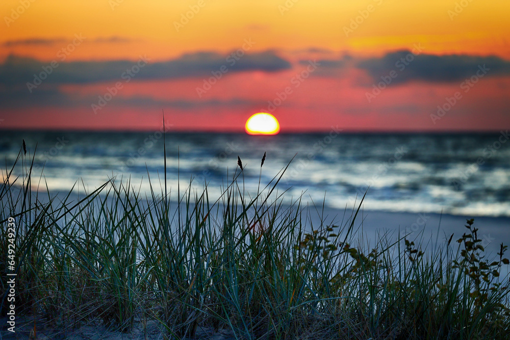 Zachód słońca nad morzem na tle traw. - obrazy, fototapety, plakaty 