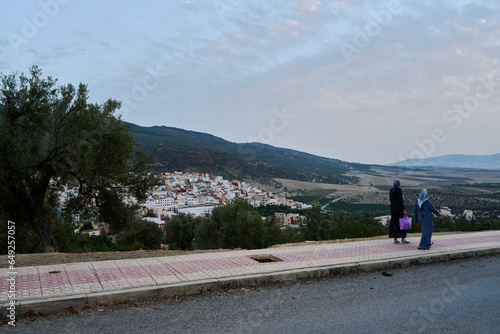 Walking on the mountain road