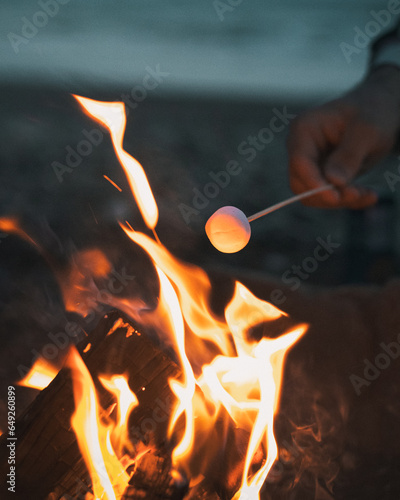 Marshmallows being toasted on a camp fire