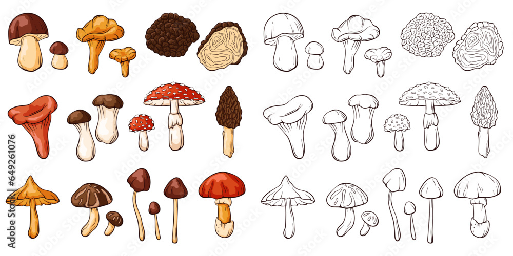 Edible and inedible mushrooms collection in line art style. Set of colorful and monochrome mushrooms. Perfect for recipe, menu, label, icon, packaging. Vector illustration isolated on a white Edible and inedible mushrooms collection in line art style. Set of colorful and monochrome mushrooms. Perfect for recipe, menu, label, icon, packaging. Vector illustration isolated on a white