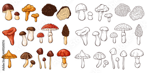 Edible and inedible mushrooms collection in line art style. Set of colorful and monochrome mushrooms. Perfect for recipe, menu, label, icon, packaging. Vector illustration isolated on a white