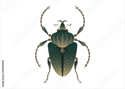 Goliathus Regius Beetle Vector Art isolated on White Background