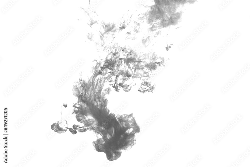 Obraz premium Black color dye melt in water on white background,Abstract smoke pattern,Colored liquid dye,Splash paint