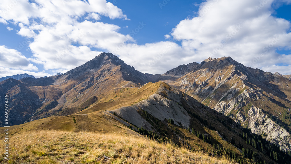 Fototapeta premium rocky mountain peaks in the clouds. fog in the mountains. highlands