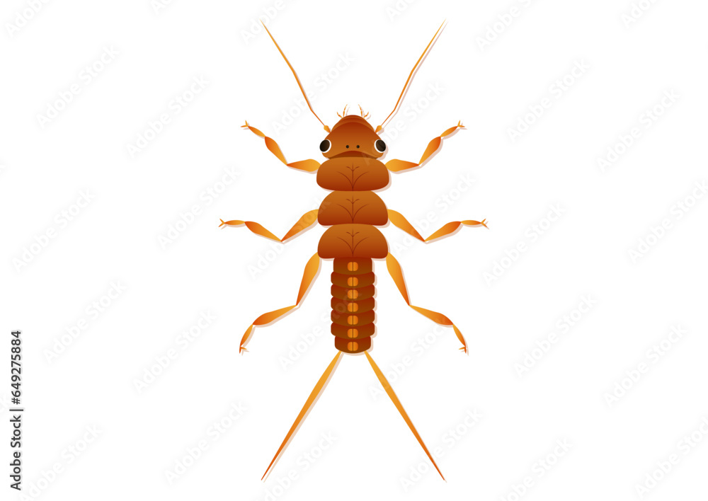 Stonefly Nymph Insect Vector Art Isolated on White Background Stonefly Nymph Insect Vector Art Isolated on White Background