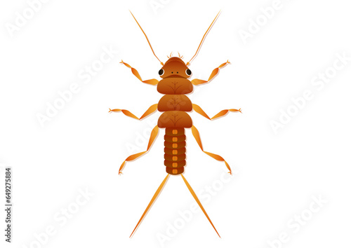 Stonefly Nymph Insect Vector Art Isolated on White Background