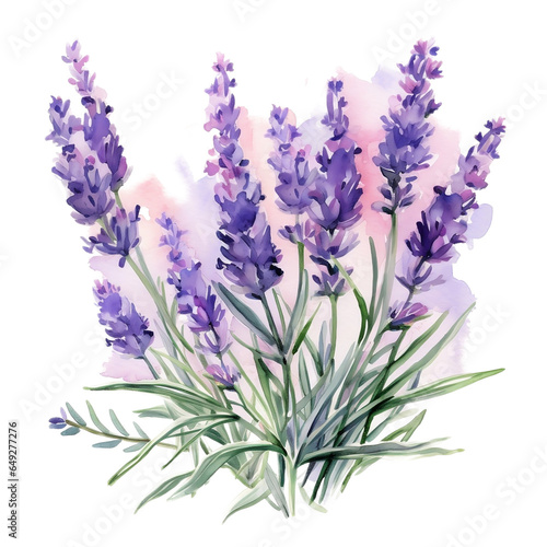 lavender flowers isolated on transparent background  watercolor  generative AI