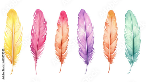 Set of bird feathers on transparent background © mashimara