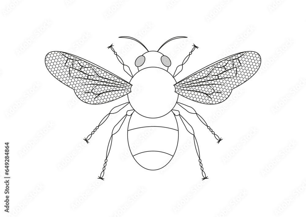 Black And White Bee Coloring Page