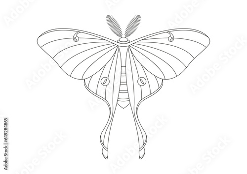 Black and White Butterfly Luna Moth Clipart Vector isolated on White Background. Coloring Page of a Butterfly Luna Moth