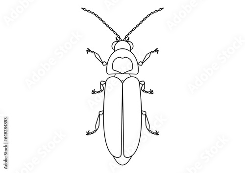 Black and White Firefly Clipart. Coloring Page of a Firefly