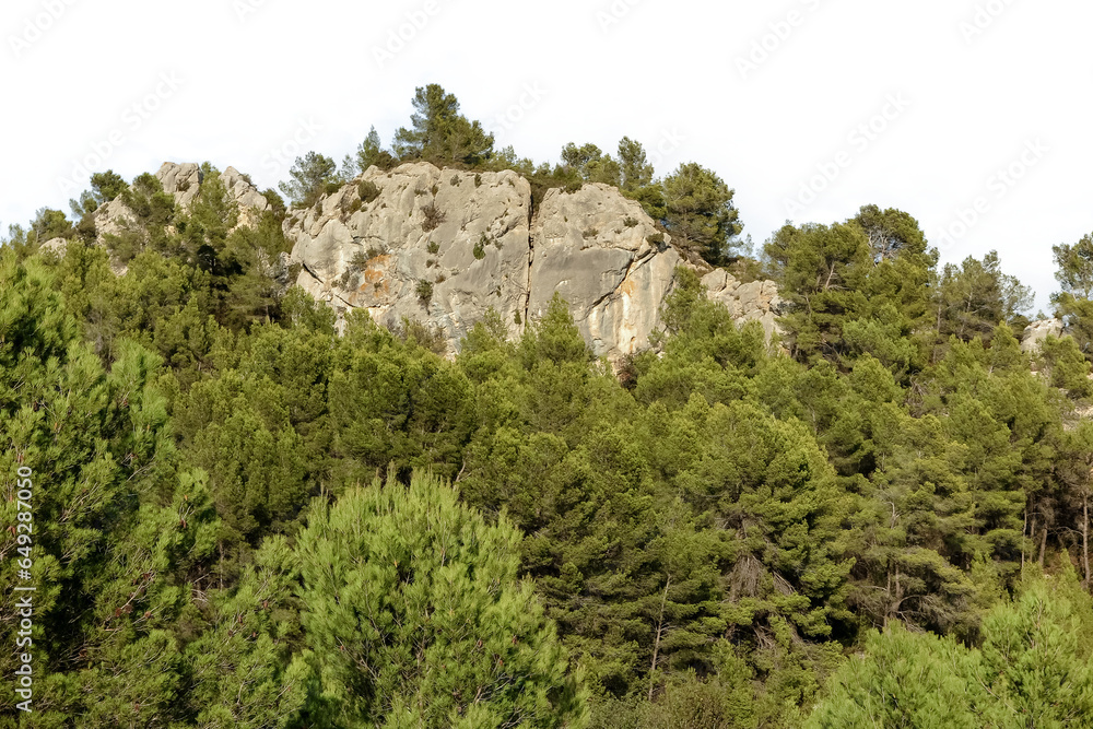 Mountains, rocky cliff covered with vegetation isolated on white background