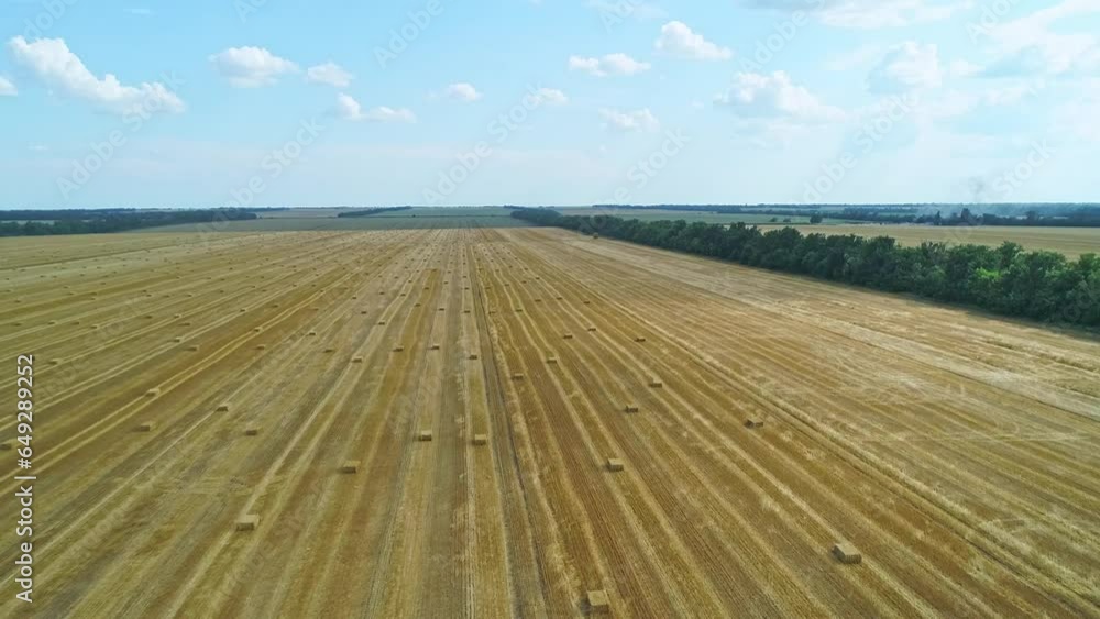Aerial over the endless golden field with many hay cubes standing in long rows Aerial over the endless golden field with many hay cubes standing in long rows