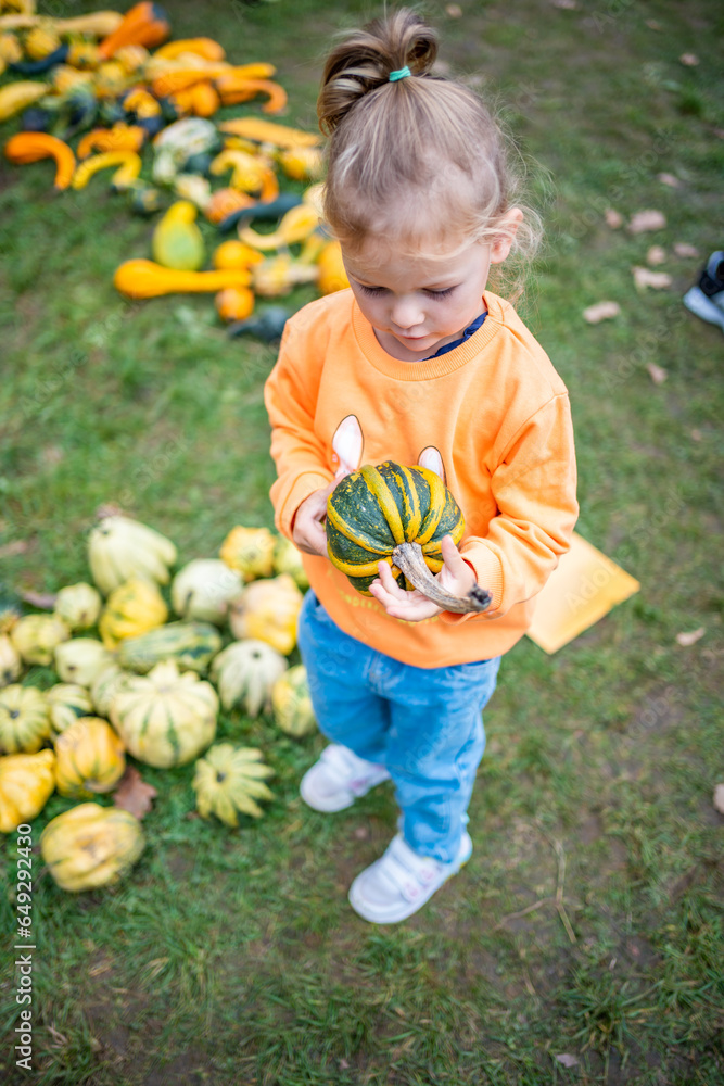 Cute little girl having fun with huge pumpkins on a pumpkin patch. Kid picking pumpkins at country farm on warm autumn day in Prague. Family time at Thanksgiving and Halloween. Cute little girl having fun with huge pumpkins on a pumpkin patch. Kid picking pumpkins at country farm on warm autumn day in Prague. Family time at Thanksgiving and Halloween.