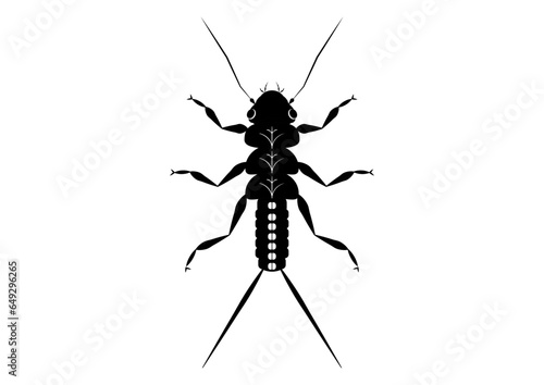 Black and White Stonefly Nymph Insect Clipart Vector isolated on White Background
